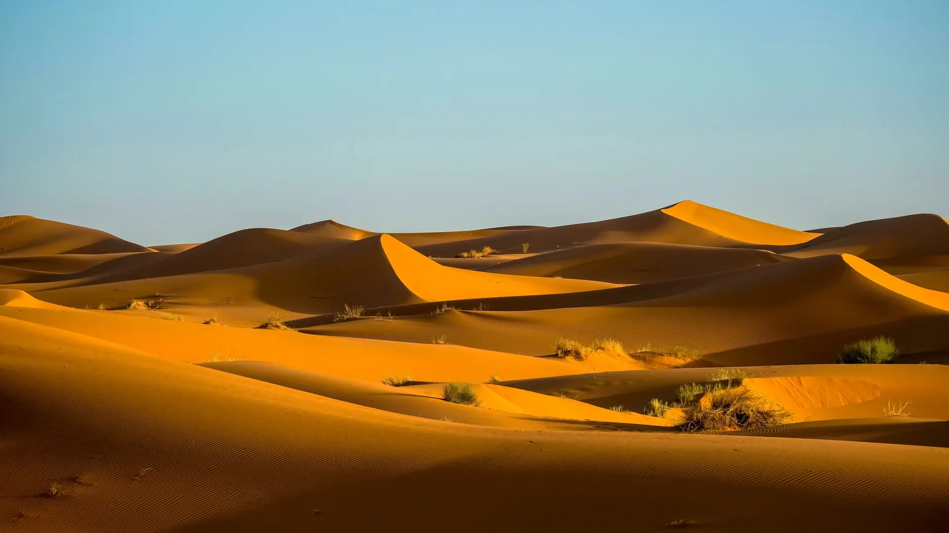 Sahara authentique