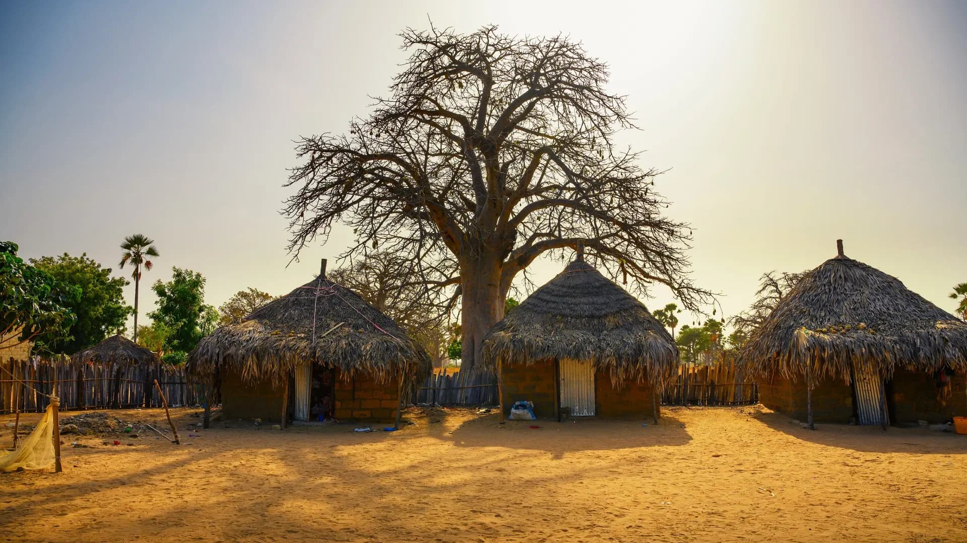 Culture wolof et terranga