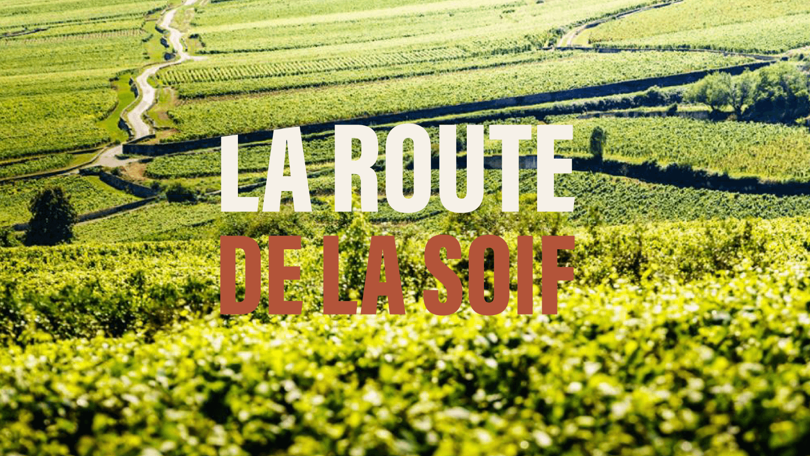 Beaune, randonnées et vins de Bourgogne