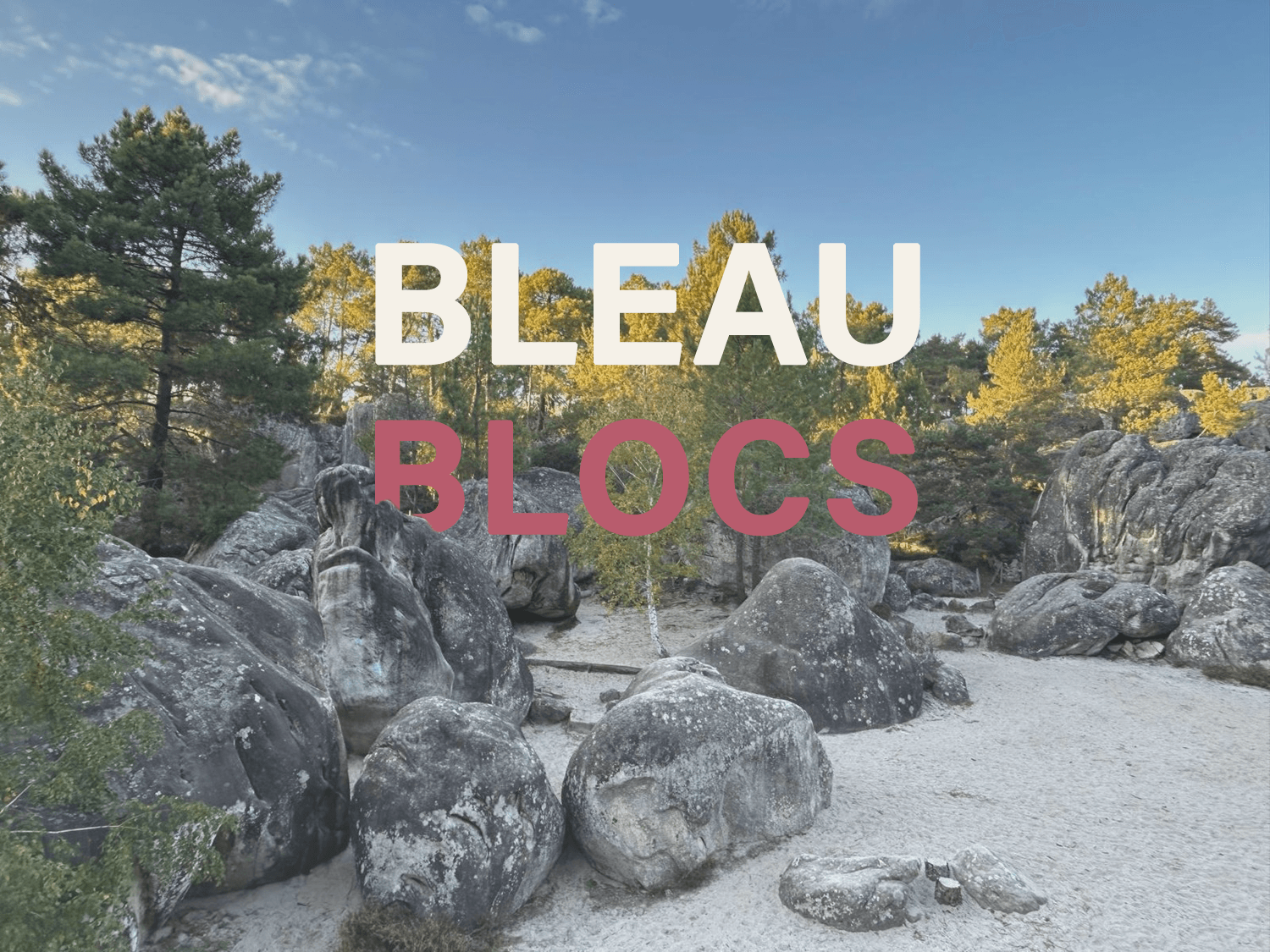 Séjour escalade en forêt de Fontainebleau