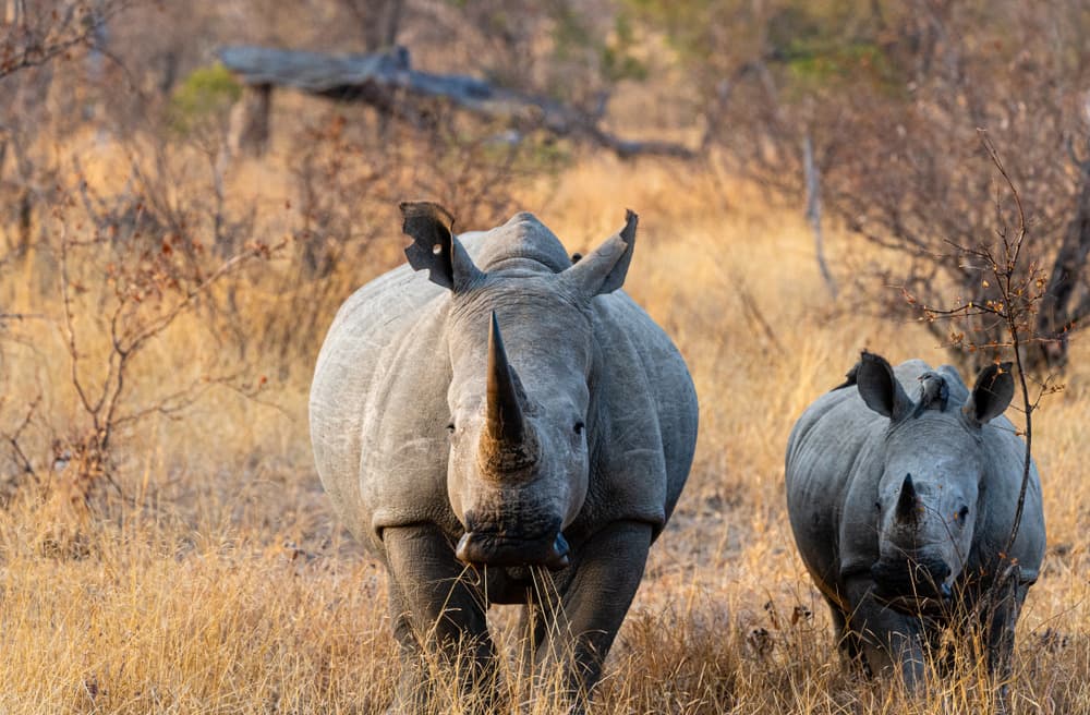 Jour 3