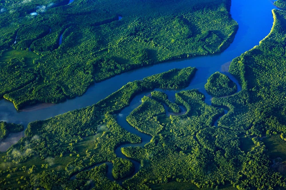 Jour 8