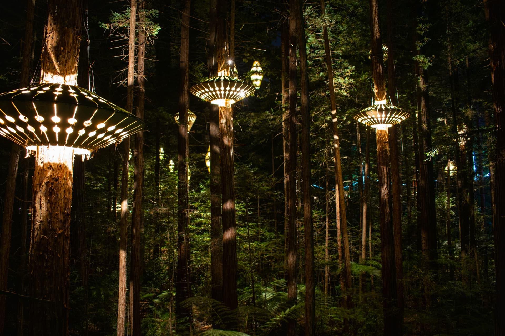 Jour 5