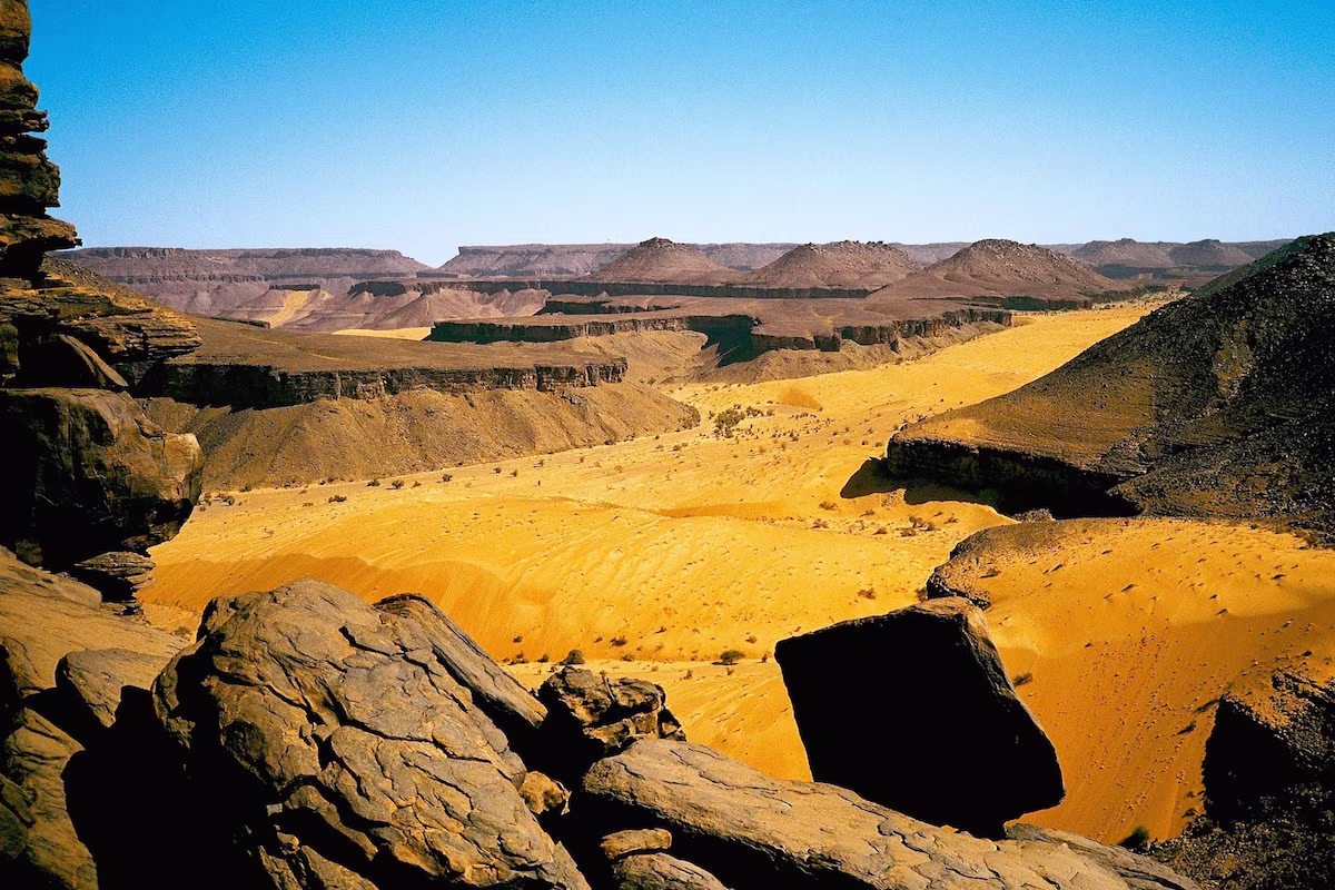 Les palmeraies de l'Adrar mauritanien