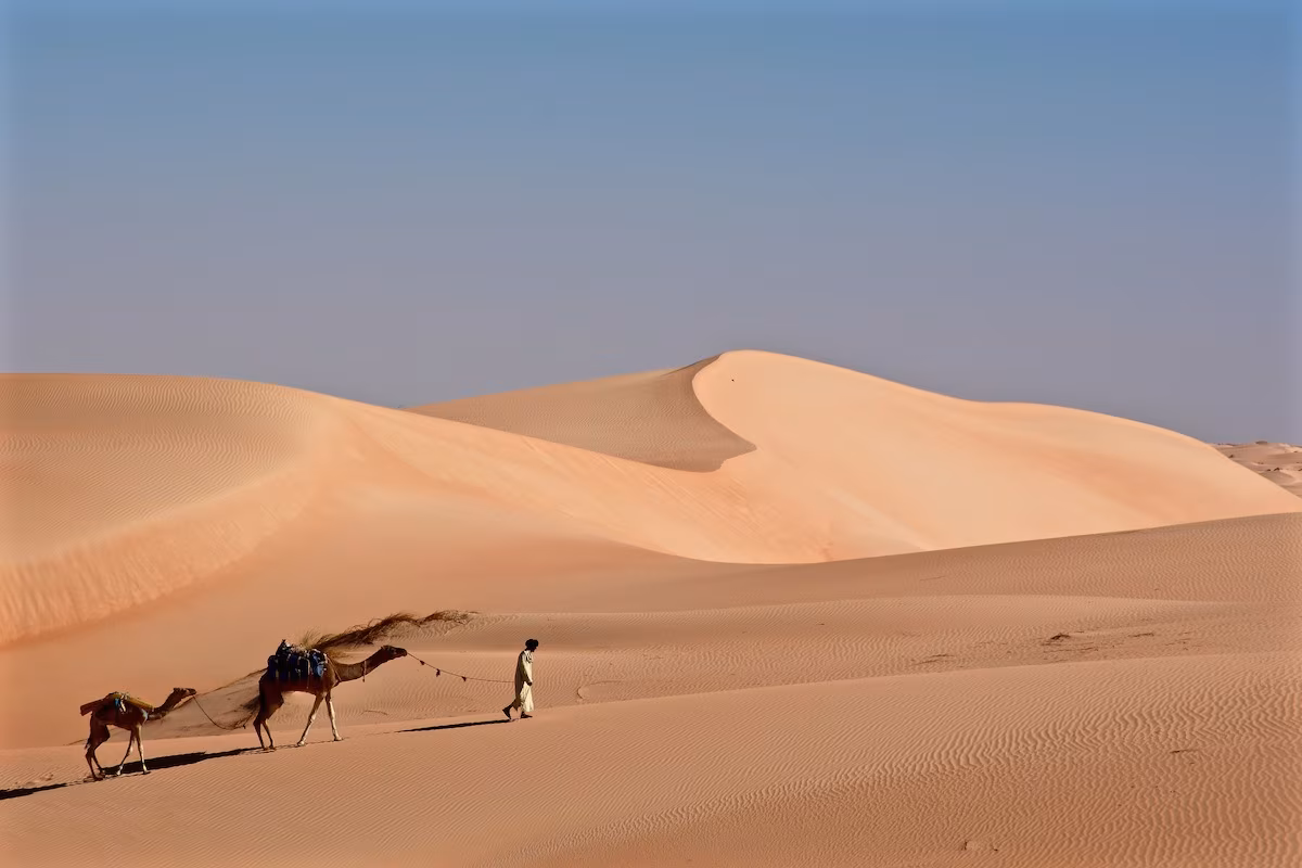L'Erg Warane et Chinguetti, variations dans les sables