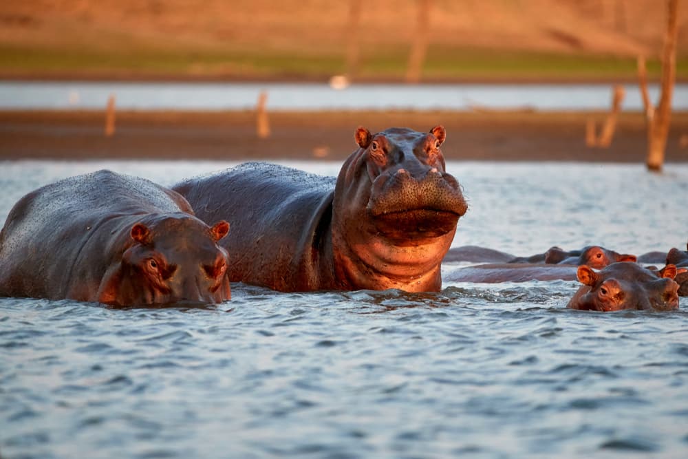 Lac Kariba