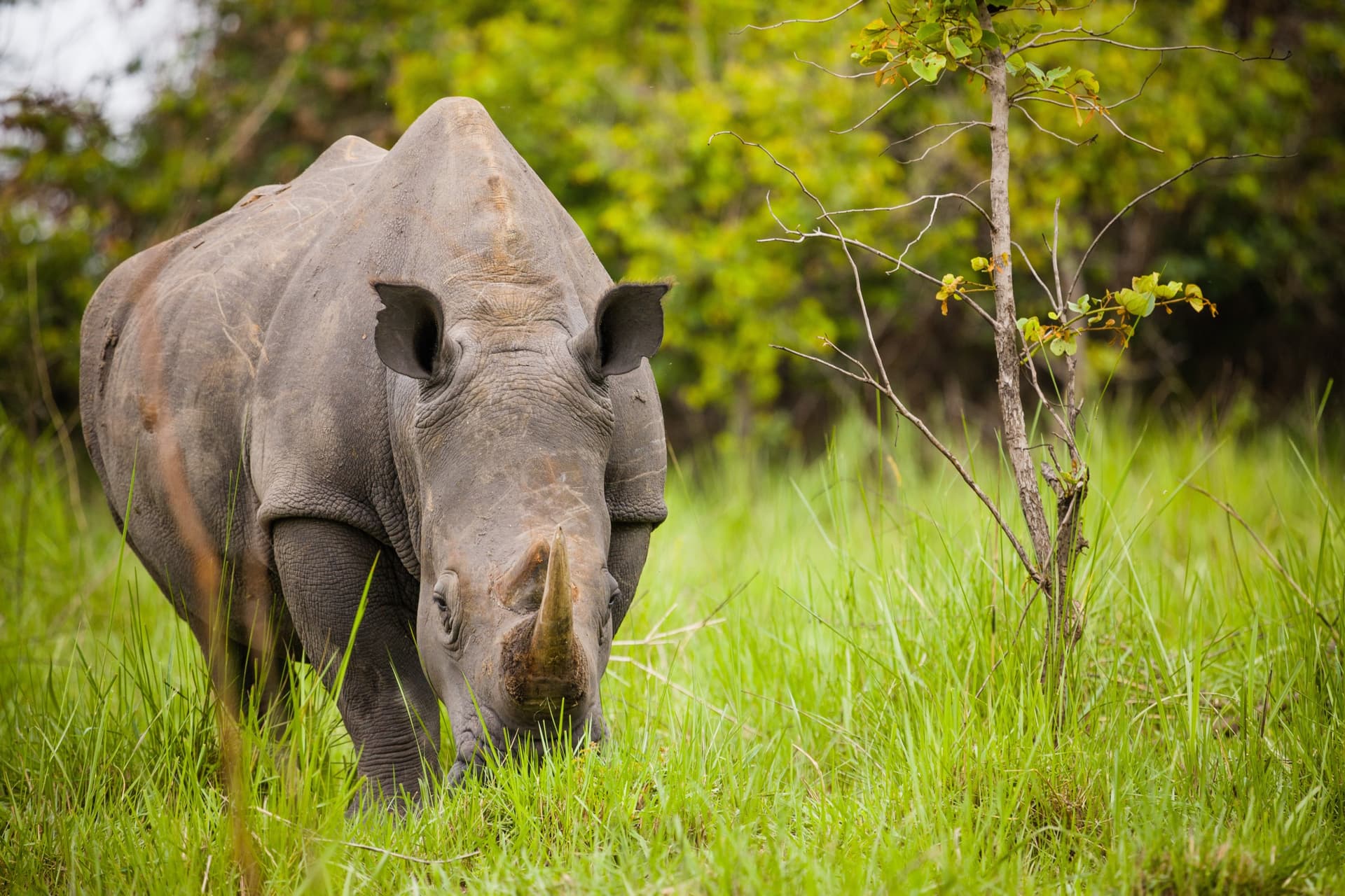 Jour 1